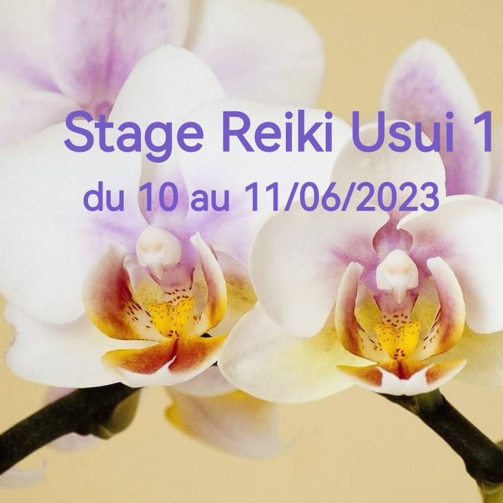 Stage Reiki Usui 1er degré