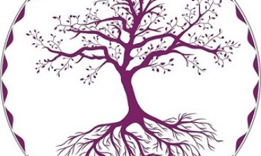 Naturopathie – Soins énergétiques – Massage Amma assis – Massage capillaire japonais Hairspa – Thérapie brève