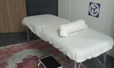 Le Chat dans les Bambous