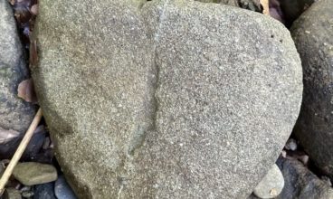 Le Chemin de Retour vers SOI Soins Reiki aux personnes. Animaux. Formations Reiki